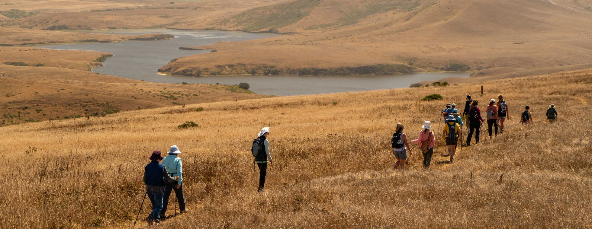 Ecology Hike with Ranger Quinn